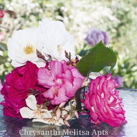 Chrysanthi Melitsa Apts. Sidari  Bagian luar foto