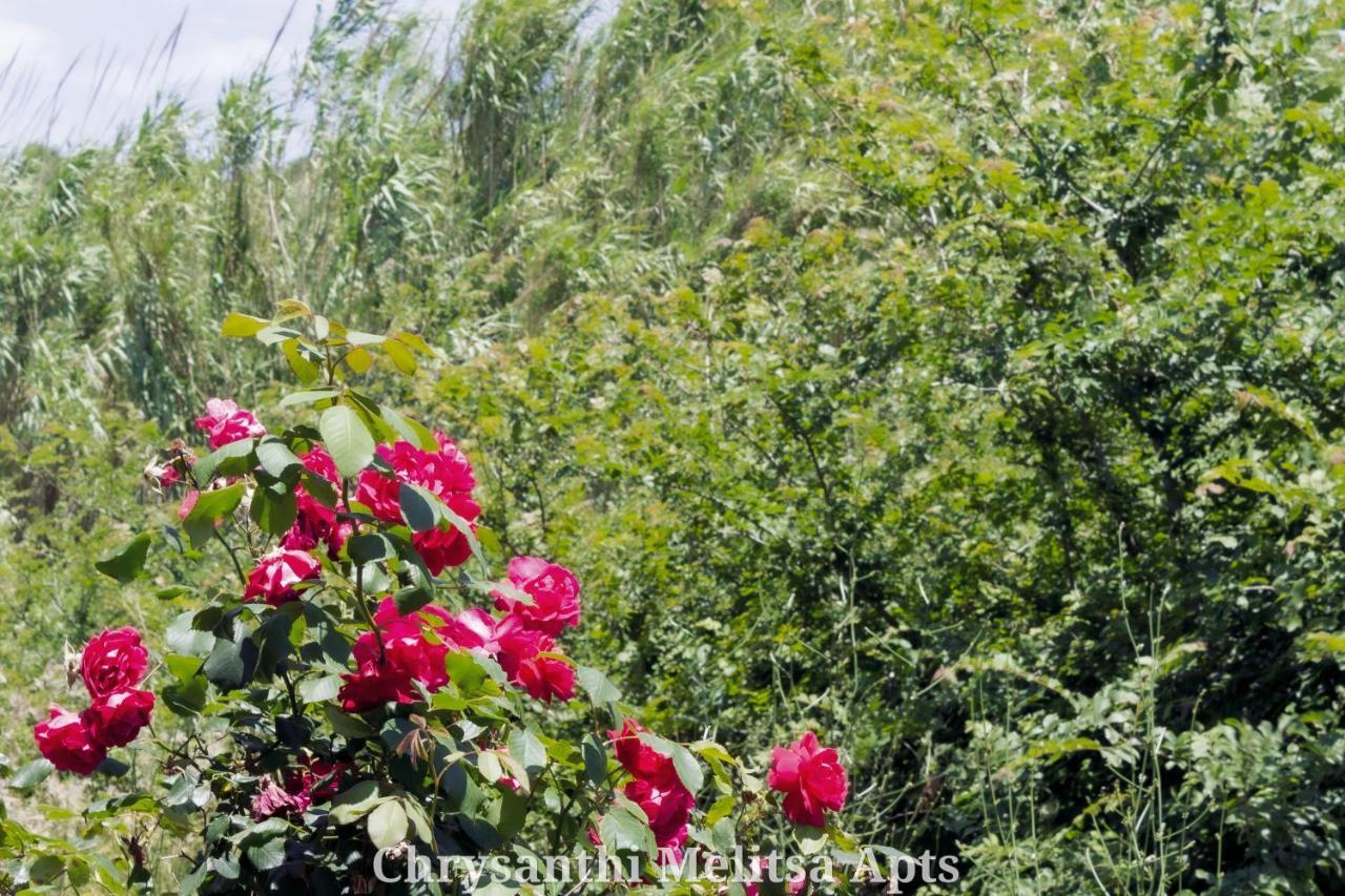 Chrysanthi Melitsa Apts. Sidari  Bagian luar foto