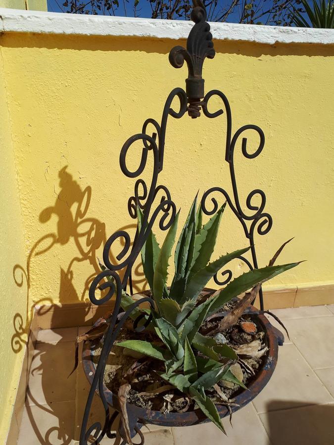 Chrysanthi Melitsa Apts. Sidari  Bagian luar foto