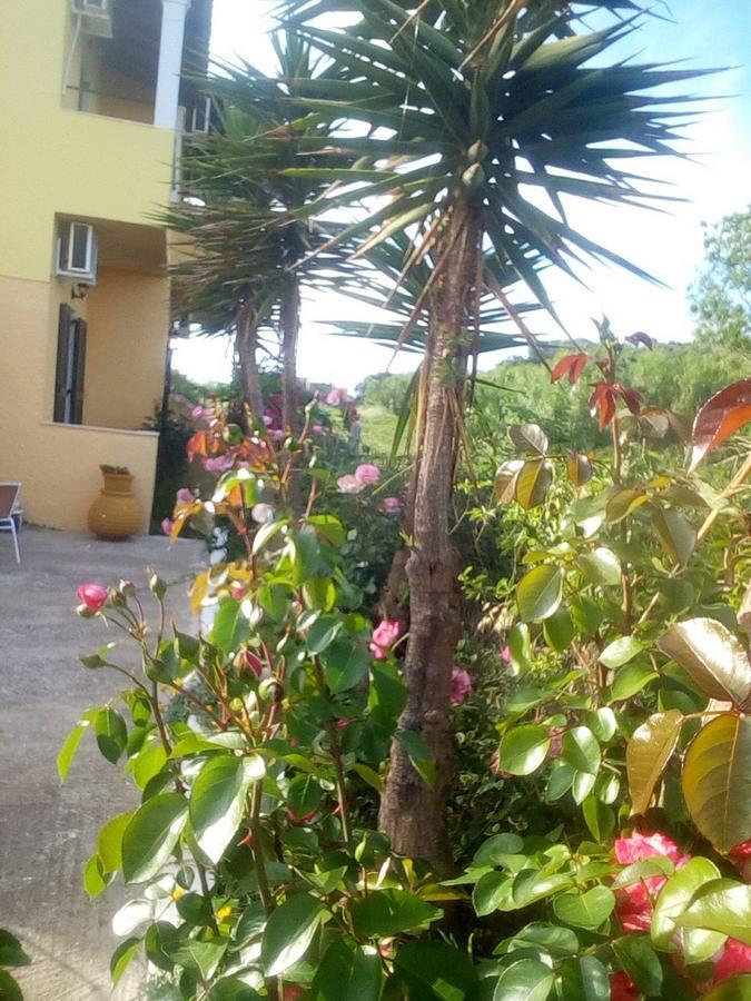 Chrysanthi Melitsa Apts. Sidari  Bagian luar foto