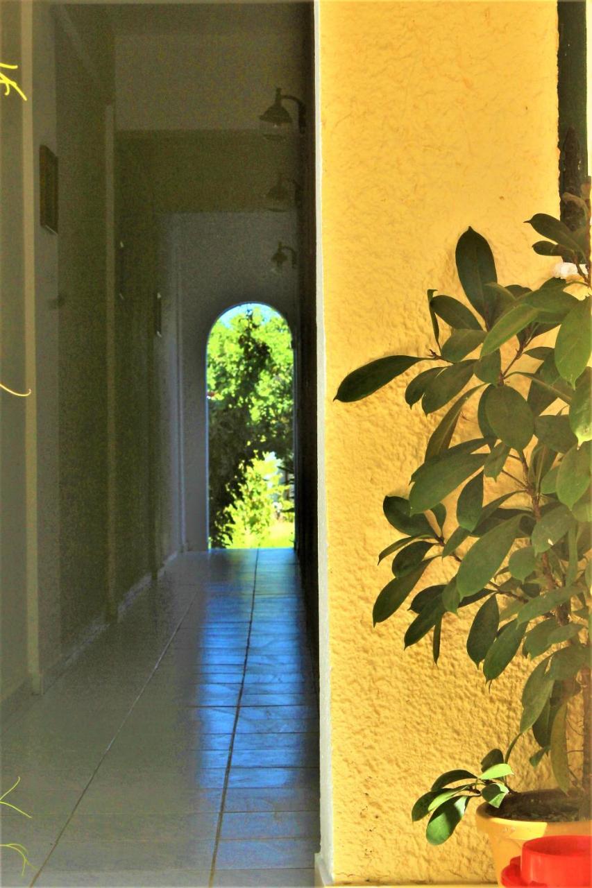 Chrysanthi Melitsa Apts. Sidari  Bagian luar foto
